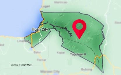 Iligan woman gets 23 years over online sex abuse raps.